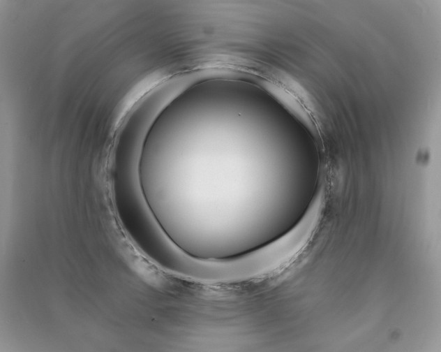 X0000090901138200708131347