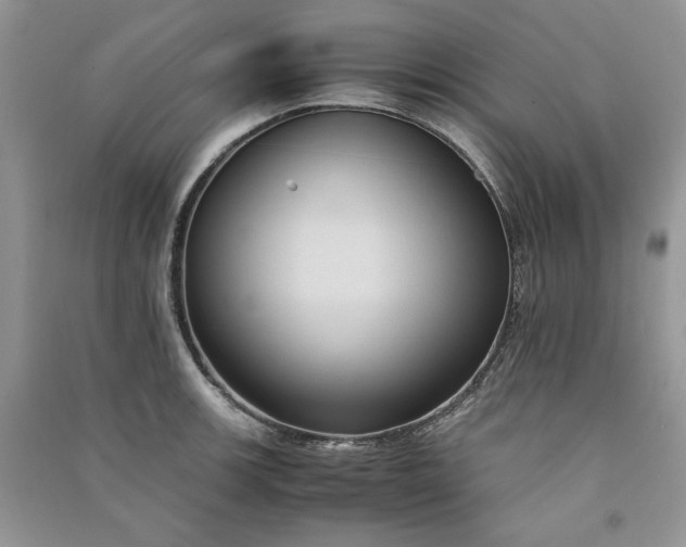X0000090901139200708131347