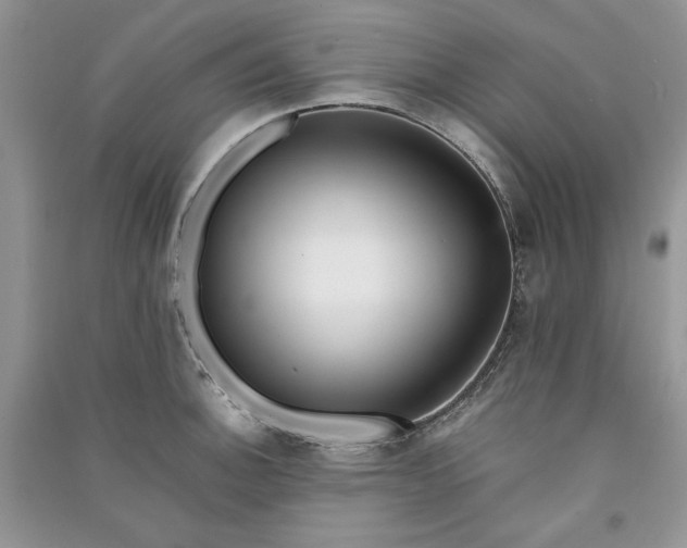 X0000090901140200708131347