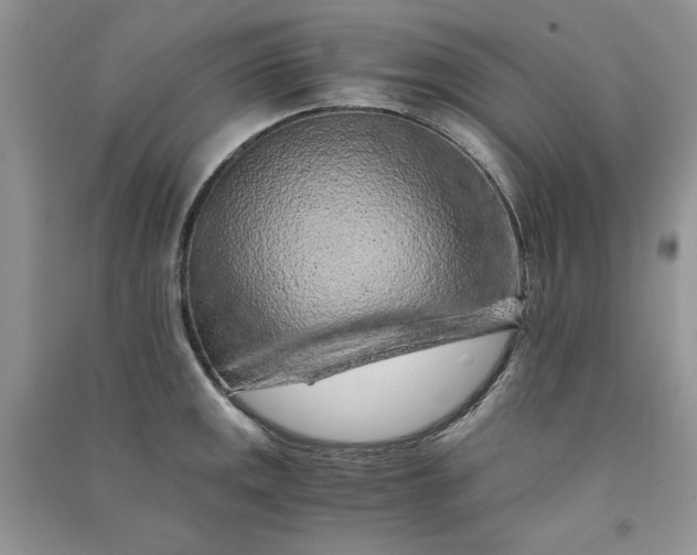 X0000090901141200708131347