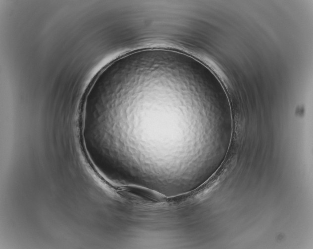 X0000090901142200708131347