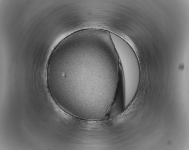X0000090901144200708131347