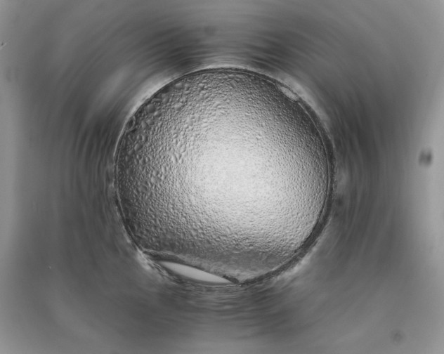 X0000090901145200708131347