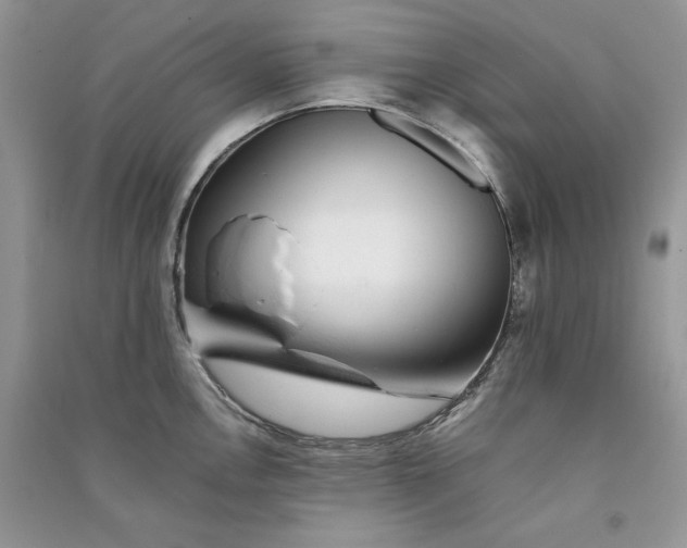 X0000090901146200708131347