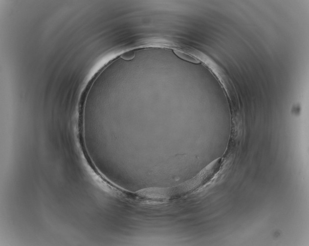 X0000090901147200708131347
