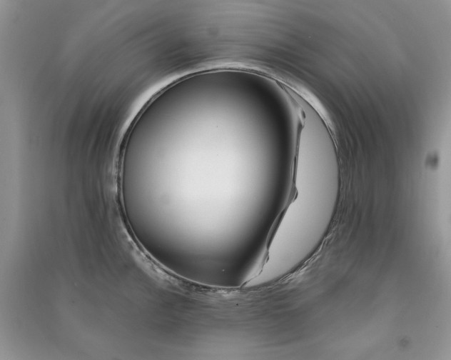 X0000090901148200708131347
