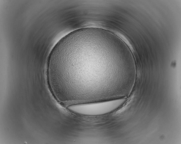 X0000090901149200708131347