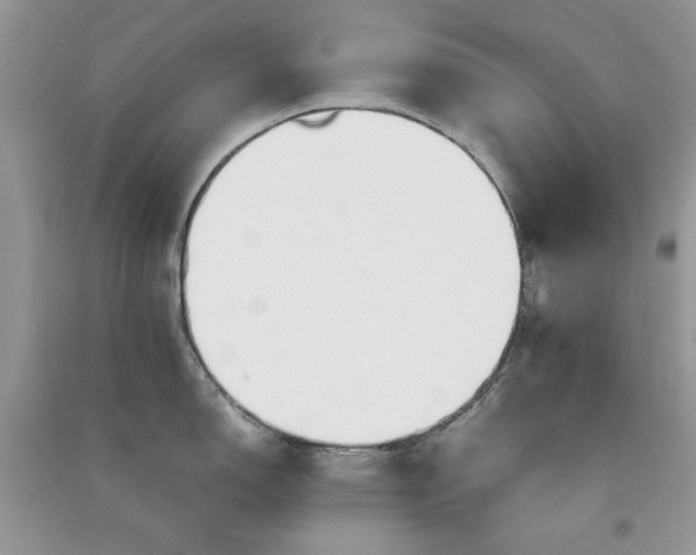 X0000090901150200708131347