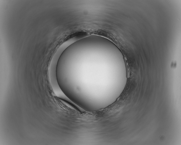 X0000090901153200708131346