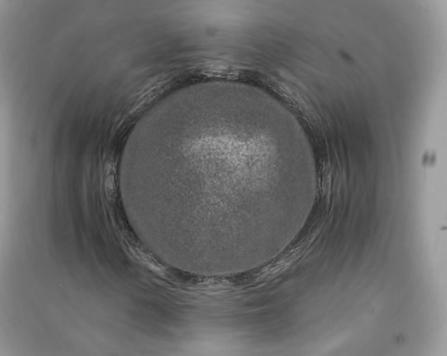 X0000090901154200708131346
