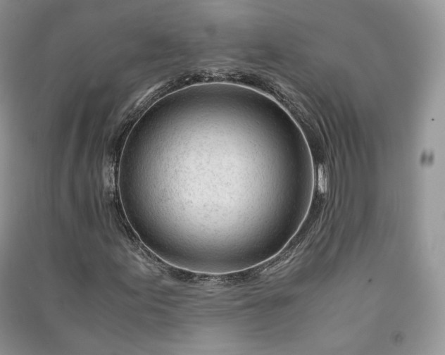 X0000090901155200708131346