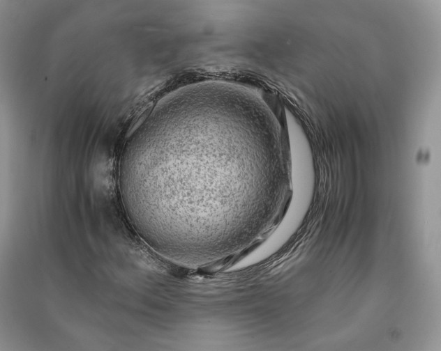 X0000090901156200708131346