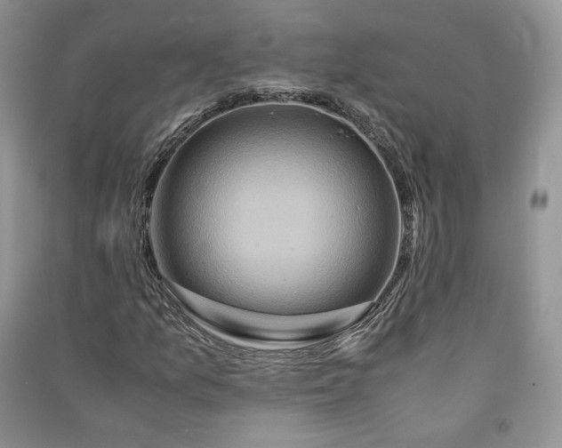 X0000090901157200708131346