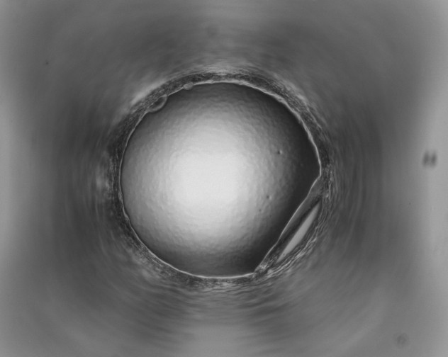 X0000090901158200708131346