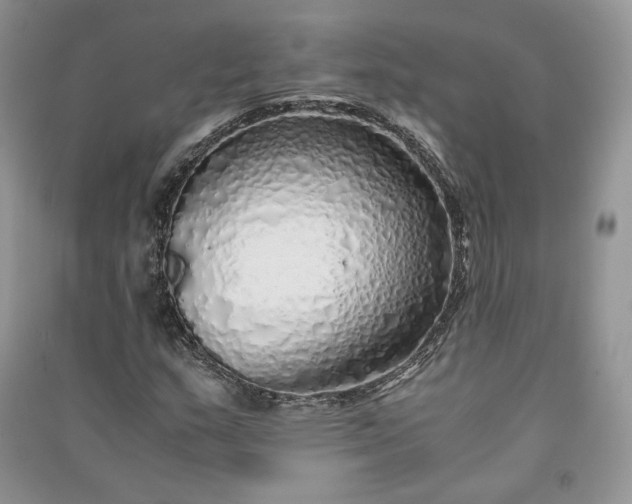 X0000090901159200708131346
