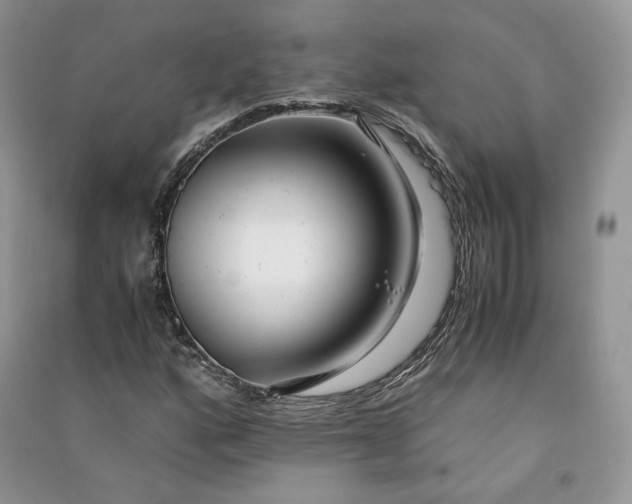 X0000090901160200708131346