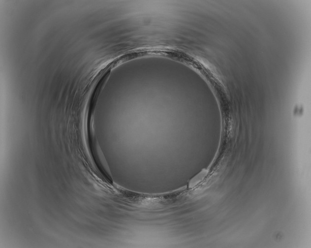 X0000090901161200708131346