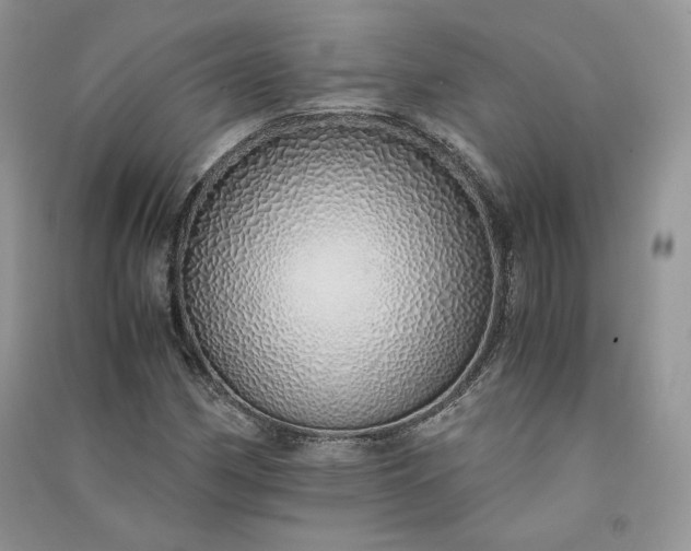 X0000090901162200708131346
