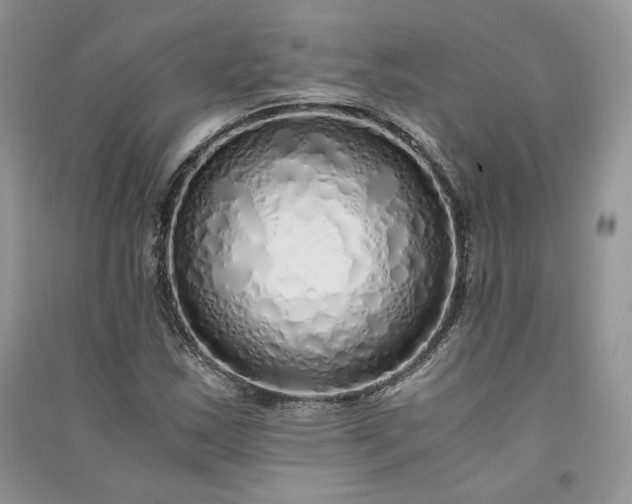X0000090901163200708131346