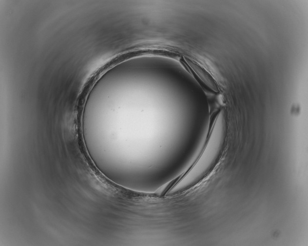 X0000090901164200708131346