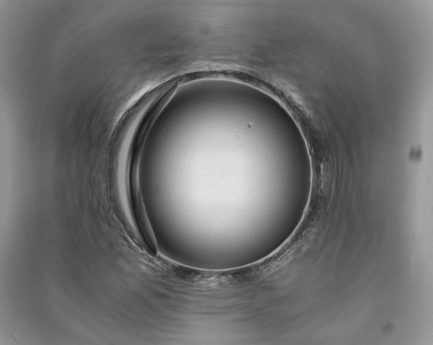X0000090901165200708131346