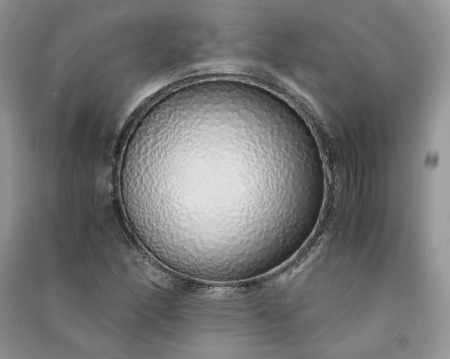 X0000090901166200708131346