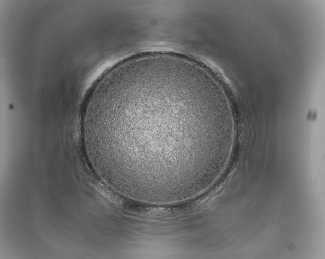 X0000090901167200708131346