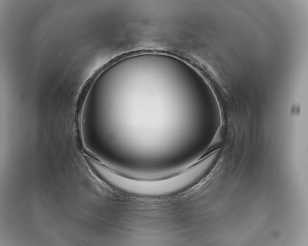 X0000090901168200708131346