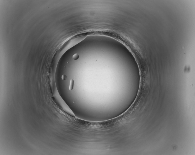 X0000090901169200708131346