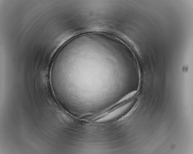X0000090901170200708131346