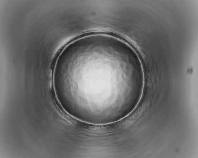 X0000090901171200708131346