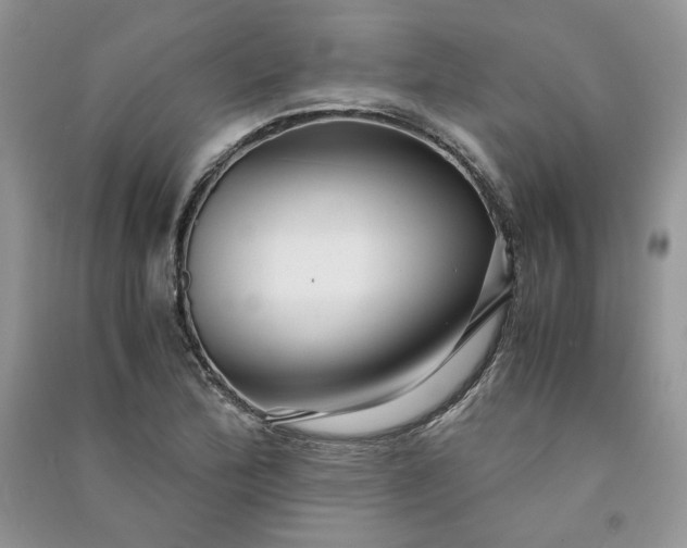 X0000090901172200708131346