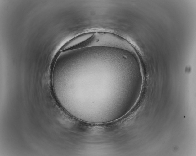 X0000090901173200708131346