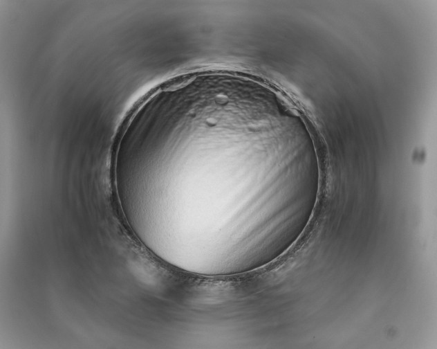 X0000090901174200708131346