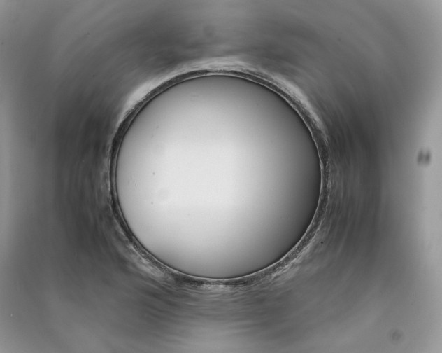 X0000090901176200708131346