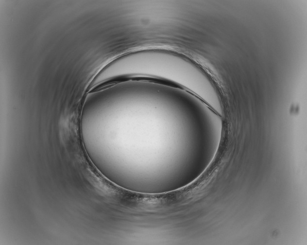 X0000090901177200708131346