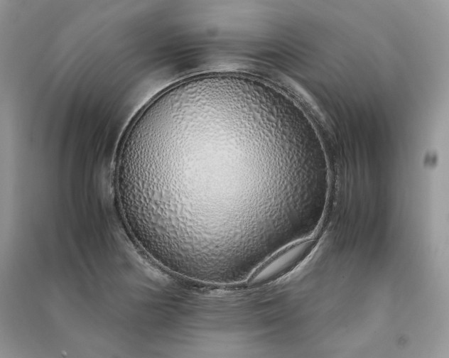 X0000090901178200708131346