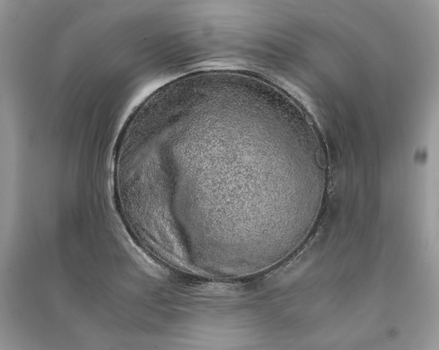 X0000090901179200708131346