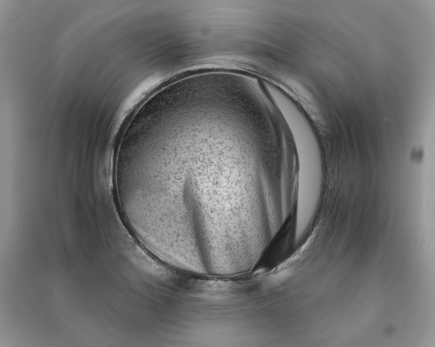 X0000090901180200708131346