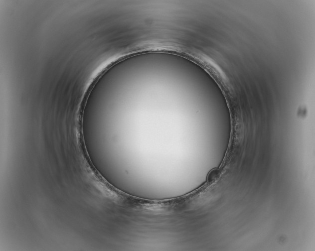 X0000090901182200708131346
