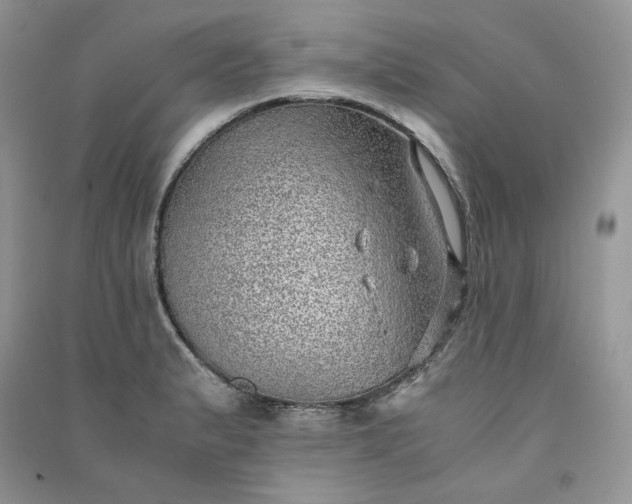 X0000090901183200708131346