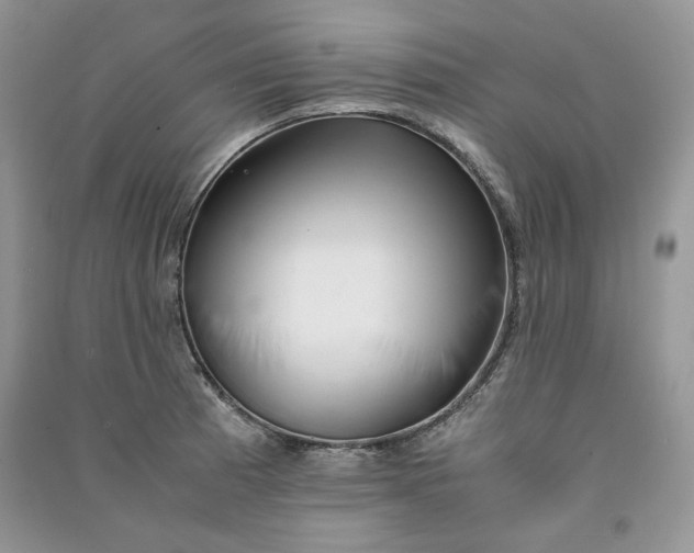 X0000090901185200708131346