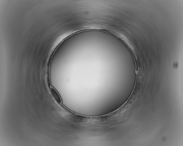 X0000090901187200708131346