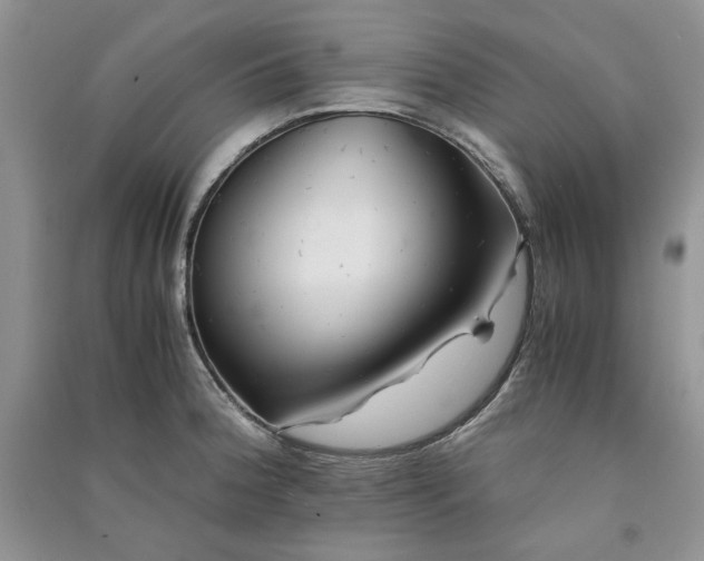 X0000090901188200708131346