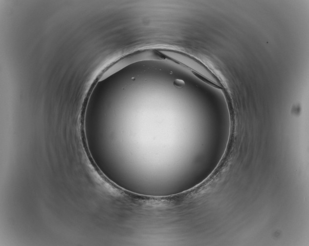 X0000090901189200708131346