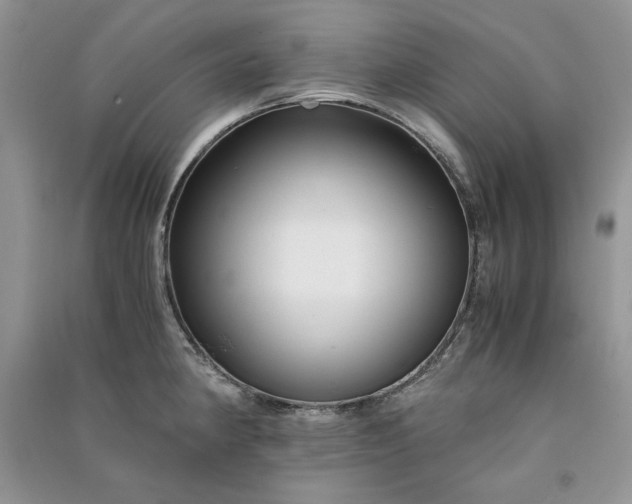 X0000090901190200708131346