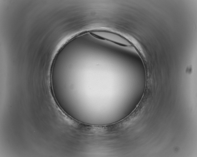 X0000090901191200708131346