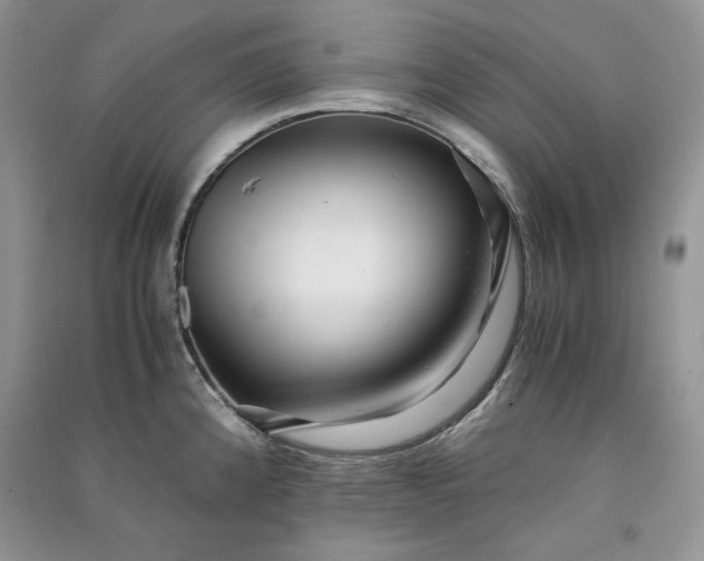 X0000090901192200708131346