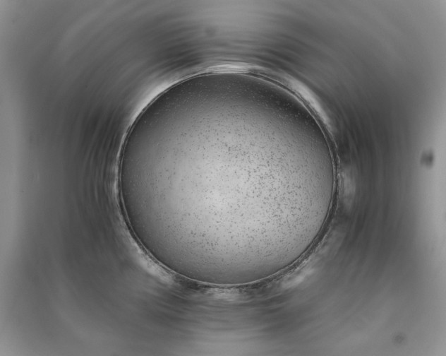 X0000090901194200708131346