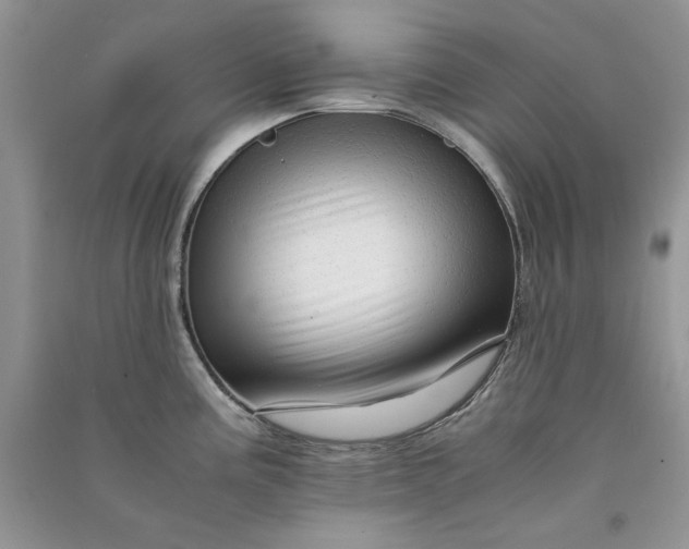 X0000090901195200708131346